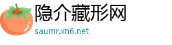 隐介藏形网